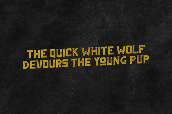 Fenrir Typeface 4