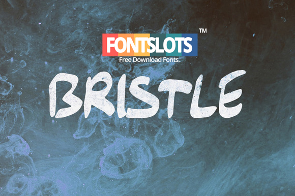 Bristle