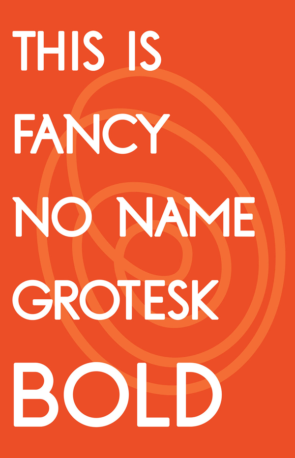 FNN Grotesk Bold