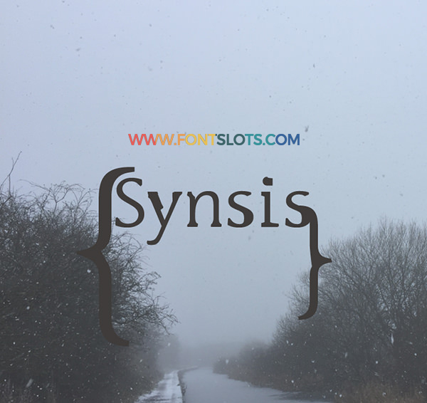 Synsis