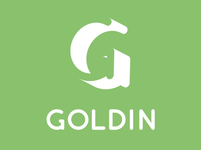 Goldin 1
