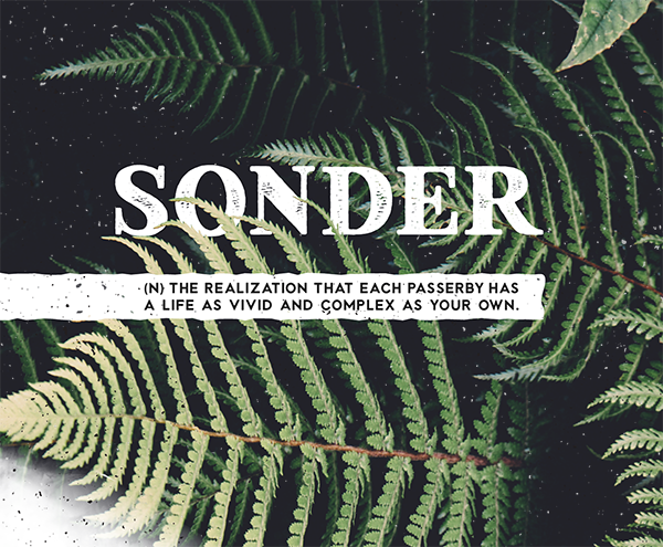 sonder